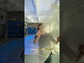 Transform Your Glass Window into a Stunning LED Display | Revolutionary Transparent Technology