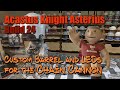 Acastus Knight Asterius Build 24