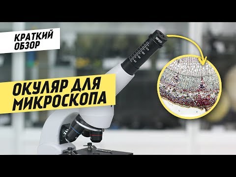 Окуляр для микроскопа 20 крат [Краткий обзор]