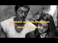 Kanmani anbodu kadhalan  slowed  reverbslowed tamil