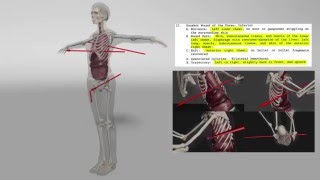 Jessica Hernandez Denver Police Shooting Reconstruction