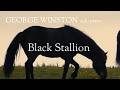 Black Stallion by George Winston (Music Video)