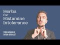 Herbal medicine histamine intolerance and allergies