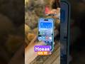 iOS 19 | #apple #ios19 #newios #iphone #newiphone #appleintelligence #android