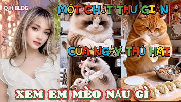 #278 một chút thư giãn của ngày thứ hai xem em mèo nấu món gì 2025