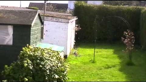 Blade MCPX 3rd flight some inverted and flips rolls inside and outside