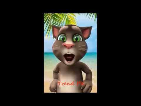 talking-tom-funny-videos-download-talking-tom-funny-videos-in-hindi-talking-tom-cat-funny-yo