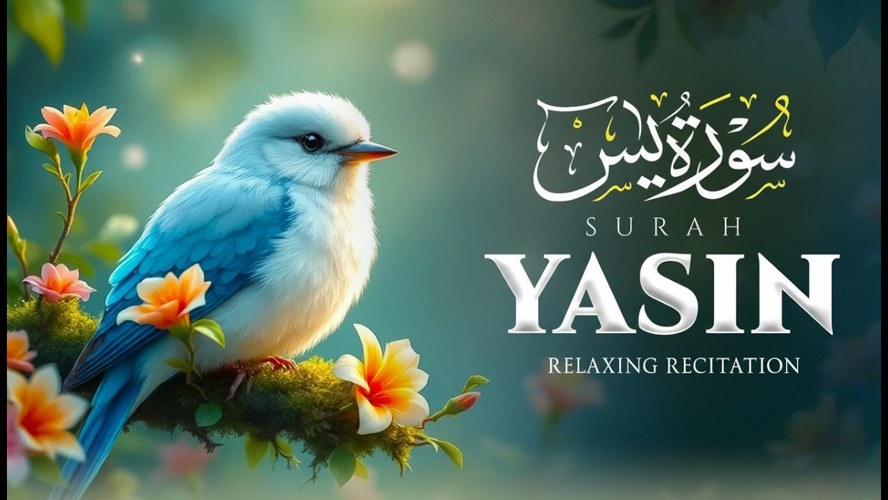 Relax Your Heart & Soul With Surah Yasin (Surah Yaseen) | Heart Touching Quran Recitation