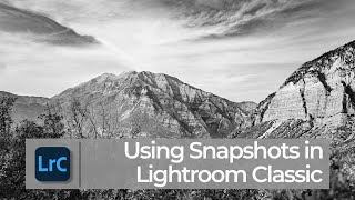 How to use Snapshots in Lightroom Classic | PPT LrC