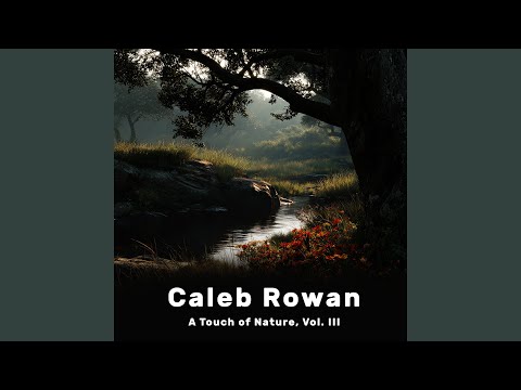 Where Dreams Rest In Peace A Touch Of Nature