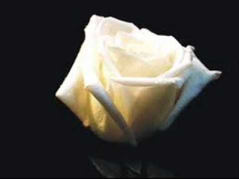 Mariusi - Per Averti