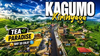 You Won't Believe This Is Kirinyaga! Tea and Coffee Capital.