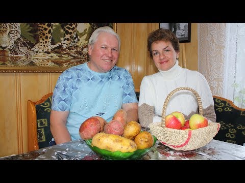 видео: Самый вкусный картофель  Выбираем новые сорта