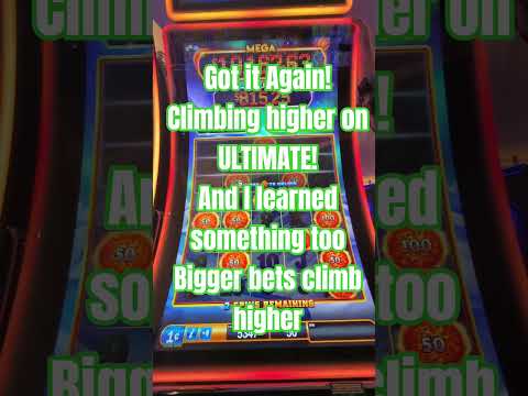 Uw Ultimate Gids voor Laatste Trends: Online Casino Spelen bij Lasla Bet