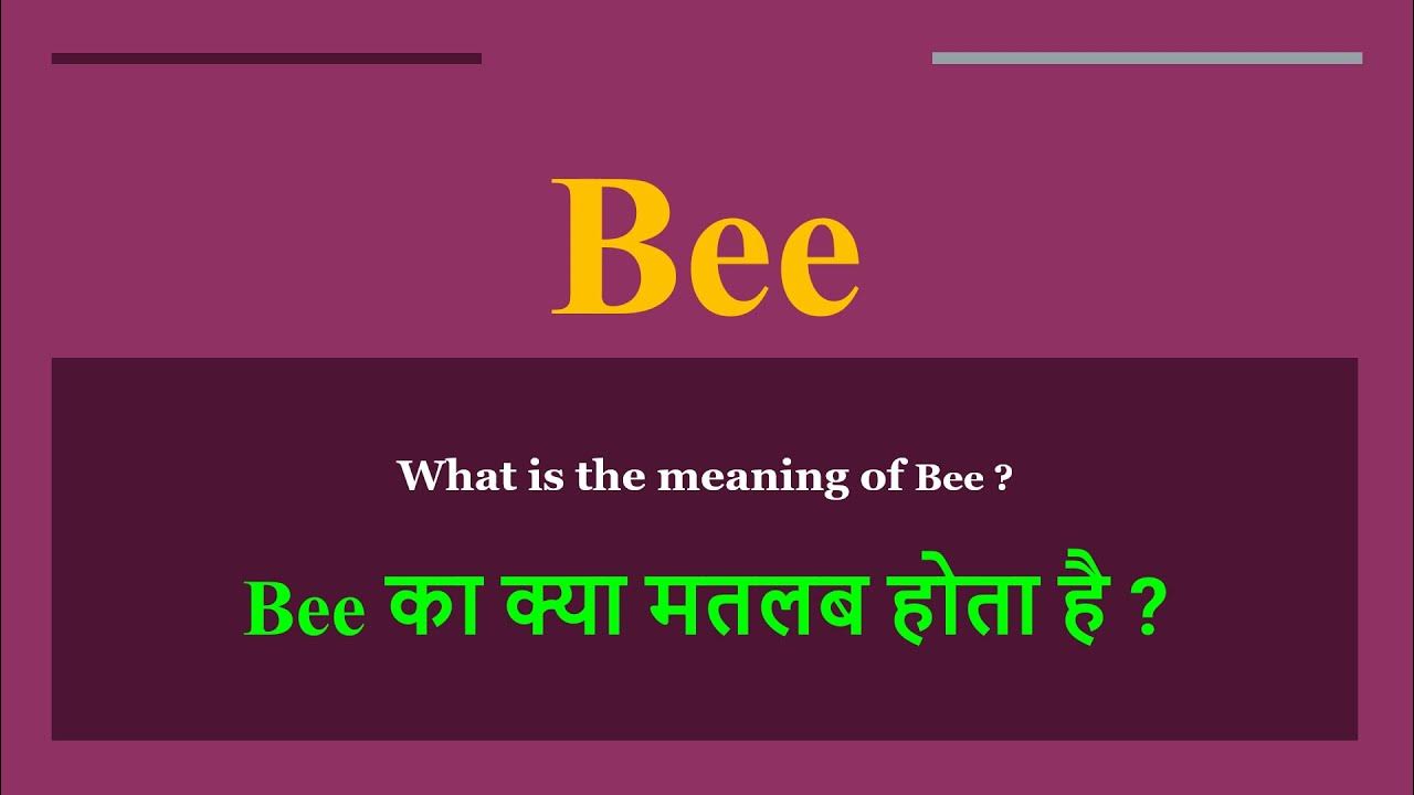 Bee Meaning In Hindi Bee Ka Kya Matlab Hota Hai Daily Use English bee-meaning-in-hindi-bee-ka-kya-matlab-hota-hai-daily-use-english