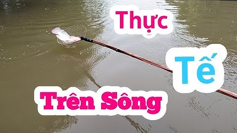 Thực tế trên sông 20fet -24v rô phi không lối thoát:  xlh 0362921480