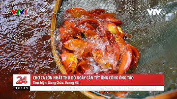 Chợ cá Yên sở Rực đỏ cá chép vàng cận ngày Ông công ông táo - VTV đưa tin trên chuyển động 24h.