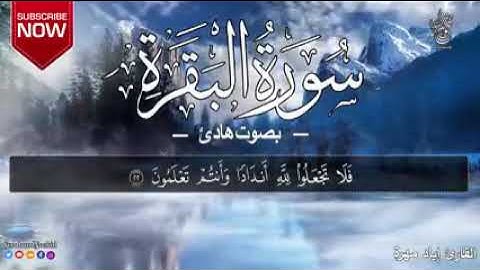 سورة البقرة بصوت القارئ اياد مهره