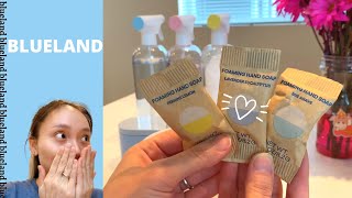 Nontoxic Chemicals Cleaning Products, Review Blueland Dishsoap,, Handsoap