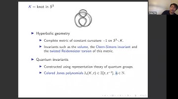 Tian Yang | Hyperbolic Geometry and Quantum Invariants