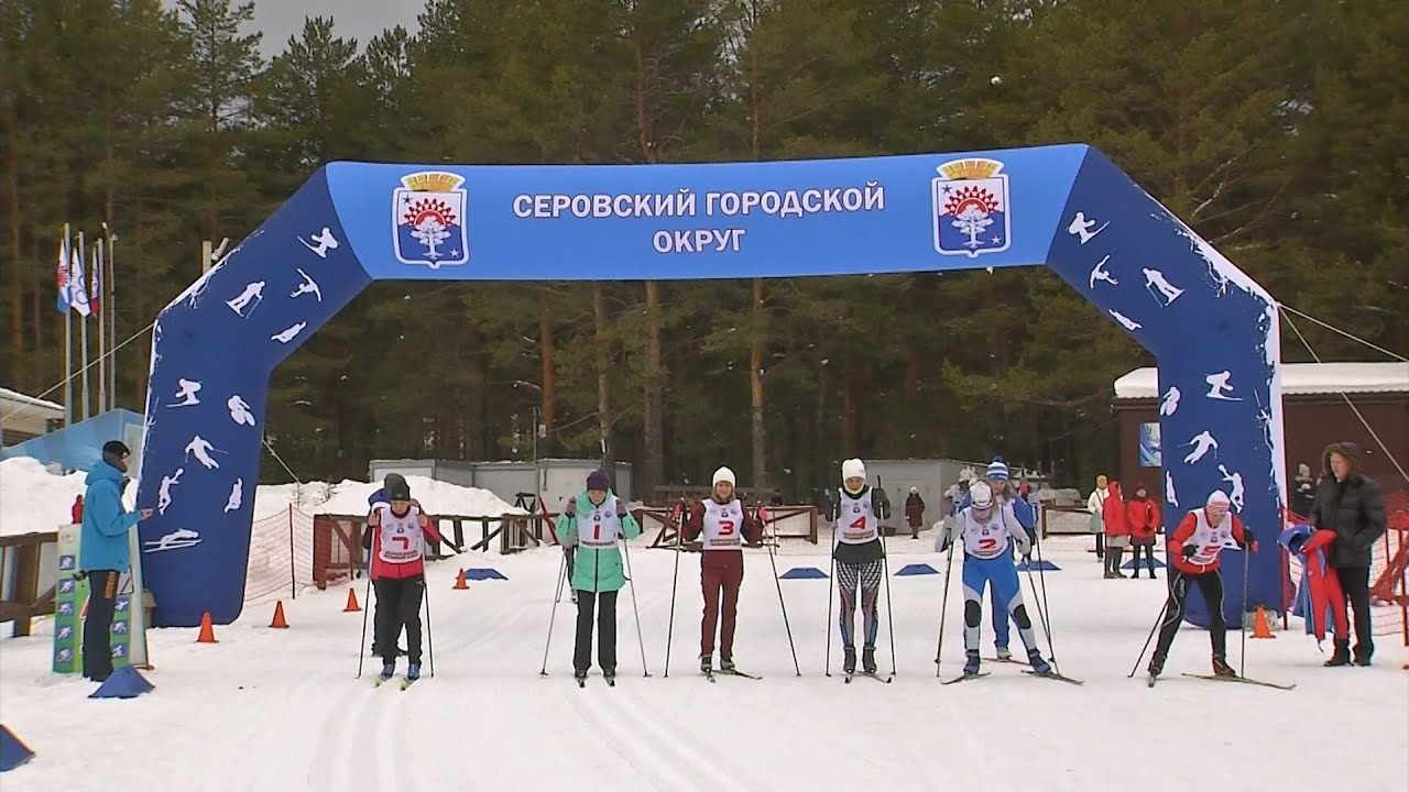 XXVII Спартакиада среди сотрудников органов местного самоуправления состоялась сегодня в Серове