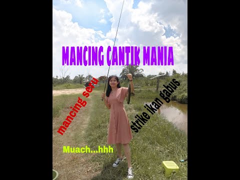 Mancing ambyar - Fishing mania - mancing mania - mancing cantik - fishing girl - strike ikan gabus