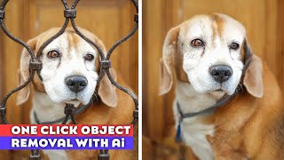 How To Remove Unwanted Objects From Photos