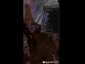 Monkey Shenanigans! Subscribe for a cookie