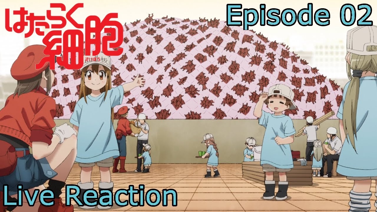 Hataraku Saibou Black Episode 2 Live Reaction 