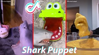 Funny Shark Puppet TikTok 2022 - Best The Shark Puppet TikTok Video Compilation   Shark Puppet