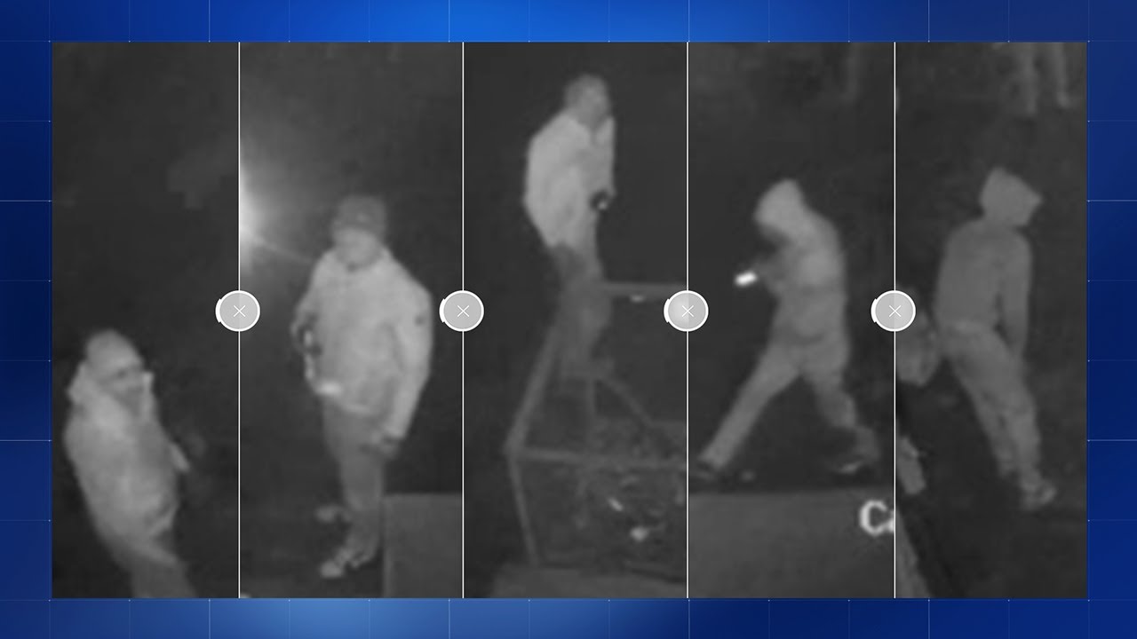 Oldenzaal en Zwolle: Daders op beeld van diefstallen katalysators