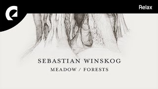 PDF Sample Forests guitar tab & chords by Sebastian Winskog.