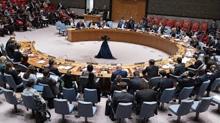 Pas de reconnaissance de la Palestine à l'ONU après le veto de Washington Resimi