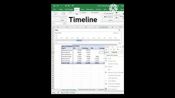 Timeline slicer #excelsupport #excelsolutions #excel #slicer