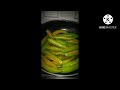 Green chilli   tapode recipe in easy syepmoms magic food