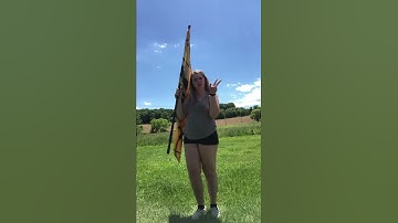 WBHS Colorguard How to Basics - Cones