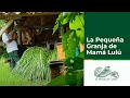 La Pequeña Granja de Mamá Lulú