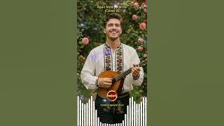 Așa-i hora pe la noi (Cover AI)