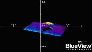 BlueView_MB1350_Fish.avi