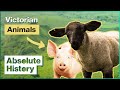 Why Farm Animals Were So Important To Victorians | Victorian Farm | Absolute History