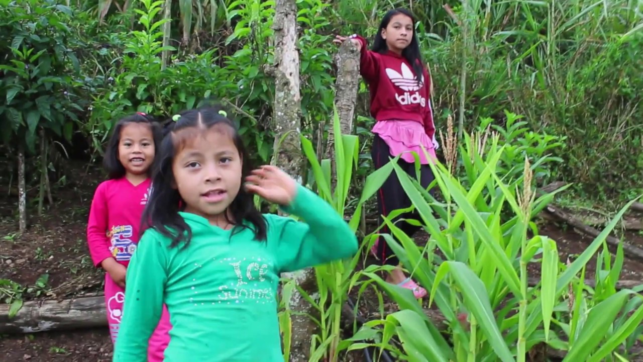 Familias Rurales: Un modelo de inclusión para el campo colombiano
