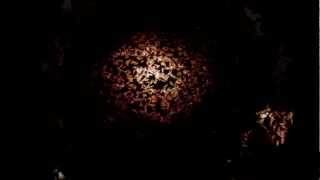 FrightCatalog.com Maggots in my Toilet