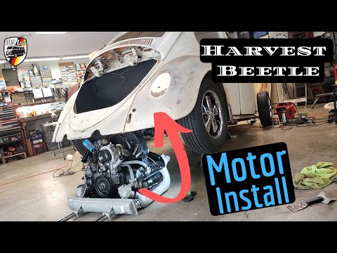 harvest-beetle-motor-install-!