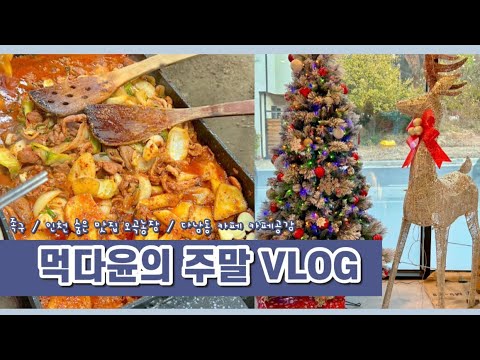 🍗 치킨 농장, 지금이 어떤 상황일까?