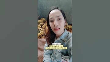 Chủ n.ợ yên tâm có Chuối Xiêm sấy dẻo ăn Tết nha