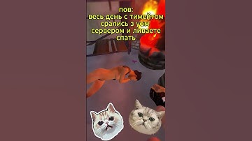 ето шиза... #rust #мем #юмор #кот #cat #раст #memes #прикол #мемы #funny