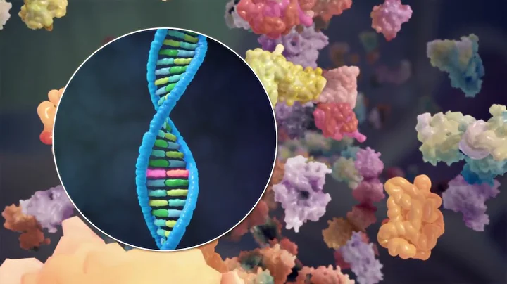 Understanding Amyloidosis - 3D Animation & Overview