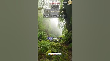 معنى كلمة:(عصف مأكول)٣١٠-شرح مفردات غريب القرآن/سورة الفيل/ الشيخ خالد الحرمي.