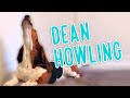 Dean's Top 5 howling moments ever!