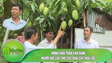 Nông dân Trần Văn Đậm - Người giữ lửa cho cây xoài cát Hòa Lộc